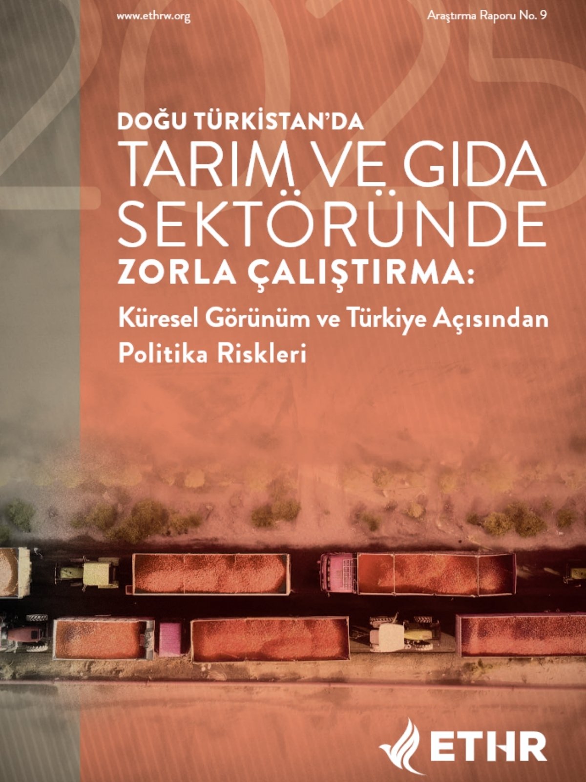 Doğu Türkistan'da Tarım ve Gıda Sektöründe Zorla Çalıştırma